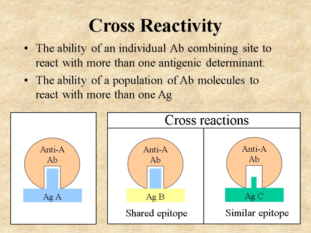 Cross Reactivity The ability of an individual Ab combining site to react with more